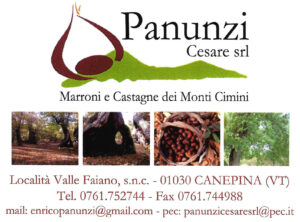 cesare panunzi NEW